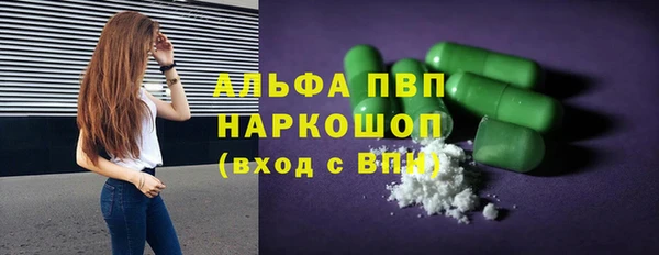 прущие грибы Киренск