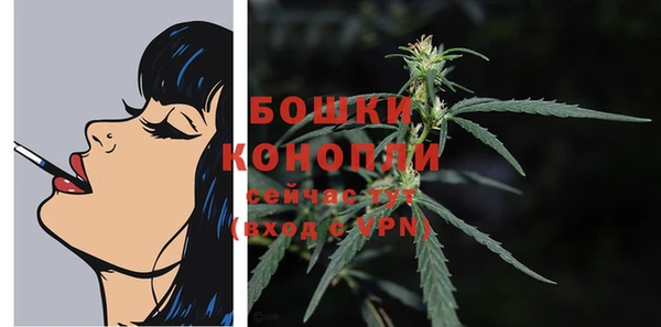 мяу мяу мука Касимов
