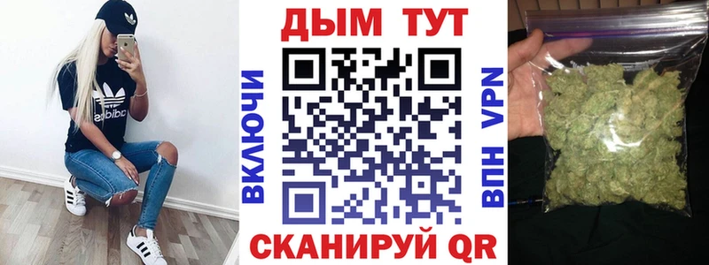 Купить где  Георгиевск  Шишки марихуана SATIVA & INDICA 